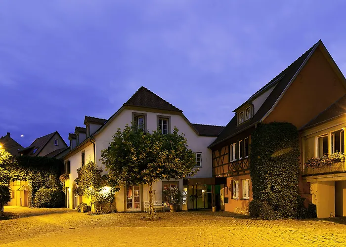 & A La Cour D'alsace By Happyculture 4* Obernai